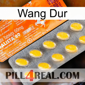 Hard Wang new05